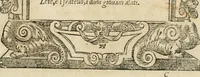 Picture 81 of 344 from Diverse imprese accommodate a diuerse moralità : con versi che i loro significati dichiarano : tratte da gli emblemi dell'Alciato (1549), leaf 36