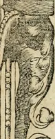 Picture 88 of 344 from Diverse imprese accommodate a diuerse moralità : con versi che i loro significati dichiarano : tratte da gli emblemi dell'Alciato (1549), leaf 39