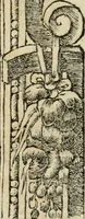 Picture 89 of 344 from Diverse imprese accommodate a diuerse moralità : con versi che i loro significati dichiarano : tratte da gli emblemi dell'Alciato (1549), leaf 39