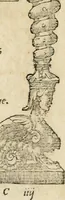 Picture 98 of 344 from Diverse imprese accommodate a diuerse moralità : con versi che i loro significati dichiarano : tratte da gli emblemi dell'Alciato (1549), leaf 42