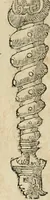 Picture 100 of 344 from Diverse imprese accommodate a diuerse moralità : con versi che i loro significati dichiarano : tratte da gli emblemi dell'Alciato (1549), leaf 43