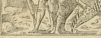 An illustration from Diverse imprese accommodate a diuerse moralità : con versi che i loro significati dichiarano : tratte da gli emblemi dell'Alciato (1549)