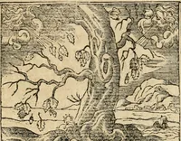 An illustration from Diverse imprese accommodate a diuerse moralità : con versi che i loro significati dichiarano : tratte da gli emblemi dell'Alciato (1549)