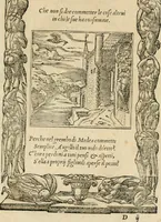 An illustration from Diverse imprese accommodate a diuerse moralità : con versi che i loro significati dichiarano : tratte da gli emblemi dell'Alciato (1549)