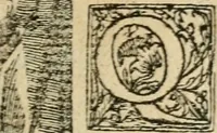 Picture 9 of 344 from Diverse imprese accommodate a diuerse moralità : con versi che i loro significati dichiarano : tratte da gli emblemi dell'Alciato (1549), leaf 6