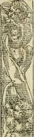 Picture 11 of 344 from Diverse imprese accommodate a diuerse moralità : con versi che i loro significati dichiarano : tratte da gli emblemi dell'Alciato (1549), leaf 6