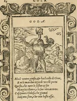 Picture 151 of 344 from Diverse imprese accommodate a diuerse moralità : con versi che i loro significati dichiarano : tratte da gli emblemi dell'Alciato (1549), leaf 67