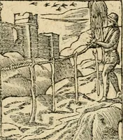 Picture 155 of 344 from Diverse imprese accommodate a diuerse moralità : con versi che i loro significati dichiarano : tratte da gli emblemi dell'Alciato (1549), leaf 68
