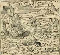 Picture 162 of 344 from Diverse imprese accommodate a diuerse moralità : con versi che i loro significati dichiarano : tratte da gli emblemi dell'Alciato (1549), leaf 71