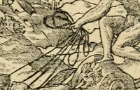 An illustration from Diverse imprese accommodate a diuerse moralità : con versi che i loro significati dichiarano : tratte da gli emblemi dell'Alciato (1549)