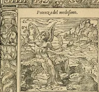 An illustration from Diverse imprese accommodate a diuerse moralità : con versi che i loro significati dichiarano : tratte da gli emblemi dell'Alciato (1549)