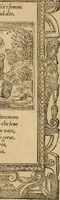 Picture 196 of 344 from Diverse imprese accommodate a diuerse moralità : con versi che i loro significati dichiarano : tratte da gli emblemi dell'Alciato (1549), leaf 87