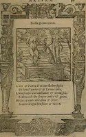 An illustration from Diverse imprese accomodate a diverse moralità, co versi che i loro significati dichiarano insieme con molte altre mella lingua italiana non piu tradotte (1576)