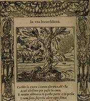 An illustration from Diverse imprese accomodate a diverse moralità, co versi che i loro significati dichiarano insieme con molte altre mella lingua italiana non piu tradotte (1576)