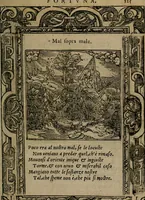 An illustration from Diverse imprese accomodate a diverse moralità, co versi che i loro significati dichiarano insieme con molte altre mella lingua italiana non piu tradotte (1576)