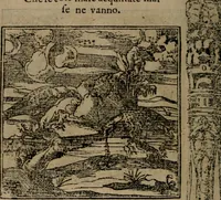An illustration from Diverse imprese accomodate a diverse moralità, co versi che i loro significati dichiarano insieme con molte altre mella lingua italiana non piu tradotte (1576)