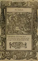 An illustration from Diverse imprese accomodate a diverse moralità, co versi che i loro significati dichiarano insieme con molte altre mella lingua italiana non piu tradotte (1576)