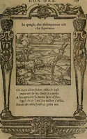 Picture 213 of 302 from Diverse imprese accomodate a diverse moralità, co versi che i loro significati dichiarano insieme con molte altre mella lingua italiana non piu tradotte (1576), leaf 140