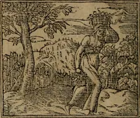 An illustration from Diverse imprese accomodate a diverse moralità, co versi che i loro significati dichiarano insieme con molte altre mella lingua italiana non piu tradotte (1576)
