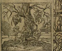 An illustration from Diverse imprese accomodate a diverse moralità, co versi che i loro significati dichiarano insieme con molte altre mella lingua italiana non piu tradotte (1576)