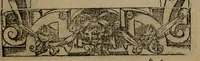 An illustration from Diverse imprese accomodate a diverse moralità, co versi che i loro significati dichiarano insieme con molte altre mella lingua italiana non piu tradotte (1576)