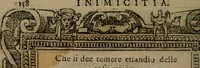 An illustration from Diverse imprese accomodate a diverse moralità, co versi che i loro significati dichiarano insieme con molte altre mella lingua italiana non piu tradotte (1576)