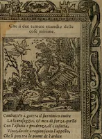 An illustration from Diverse imprese accomodate a diverse moralità, co versi che i loro significati dichiarano insieme con molte altre mella lingua italiana non piu tradotte (1576)