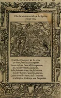 An illustration from Diverse imprese accomodate a diverse moralità, co versi che i loro significati dichiarano insieme con molte altre mella lingua italiana non piu tradotte (1576)