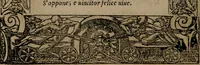 Picture 276 of 302 from Diverse imprese accomodate a diverse moralità, co versi che i loro significati dichiarano insieme con molte altre mella lingua italiana non piu tradotte (1576), leaf 175