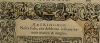 An illustration from Diverse imprese accomodate a diverse moralità, co versi che i loro significati dichiarano insieme con molte altre mella lingua italiana non piu tradotte (1576)