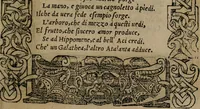 An illustration from Diverse imprese accomodate a diverse moralità, co versi che i loro significati dichiarano insieme con molte altre mella lingua italiana non piu tradotte (1576)