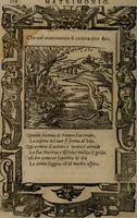 An illustration from Diverse imprese accomodate a diverse moralità, co versi che i loro significati dichiarano insieme con molte altre mella lingua italiana non piu tradotte (1576)