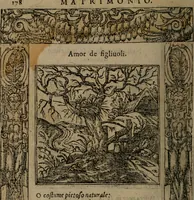 An illustration from Diverse imprese accomodate a diverse moralità, co versi che i loro significati dichiarano insieme con molte altre mella lingua italiana non piu tradotte (1576)