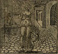 An illustration from Diverse imprese accomodate a diverse moralità, co versi che i loro significati dichiarano insieme con molte altre mella lingua italiana non piu tradotte (1576)
