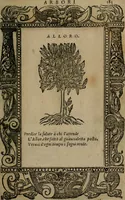 An illustration from Diverse imprese accomodate a diverse moralità, co versi che i loro significati dichiarano insieme con molte altre mella lingua italiana non piu tradotte (1576)