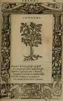 An illustration from Diverse imprese accomodate a diverse moralità, co versi che i loro significati dichiarano insieme con molte altre mella lingua italiana non piu tradotte (1576)