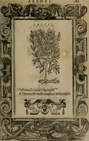 An illustration from Diverse imprese accomodate a diverse moralità, co versi che i loro significati dichiarano insieme con molte altre mella lingua italiana non piu tradotte (1576)