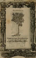 An illustration from Diverse imprese accomodate a diverse moralità, co versi che i loro significati dichiarano insieme con molte altre mella lingua italiana non piu tradotte (1576)