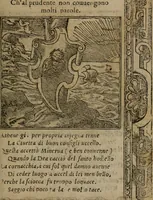 An illustration from Diverse imprese accomodate a diverse moralità, co versi che i loro significati dichiarano insieme con molte altre mella lingua italiana non piu tradotte (1576)