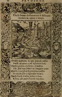 An illustration from Diverse imprese accomodate a diverse moralità, co versi che i loro significati dichiarano insieme con molte altre mella lingua italiana non piu tradotte (1576)