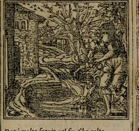 An illustration from Diverse imprese accomodate a diverse moralità, co versi che i loro significati dichiarano insieme con molte altre mella lingua italiana non piu tradotte (1576)
