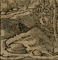 An illustration from Diverse imprese accomodate a diverse moralità, co versi che i loro significati dichiarano insieme con molte altre mella lingua italiana non piu tradotte (1576)