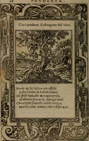 An illustration from Diverse imprese accomodate a diverse moralità, co versi che i loro significati dichiarano insieme con molte altre mella lingua italiana non piu tradotte (1576)