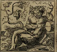 Picture 41 of 302 from Diverse imprese accomodate a diverse moralità, co versi che i loro significati dichiarano insieme con molte altre mella lingua italiana non piu tradotte (1576), leaf 30