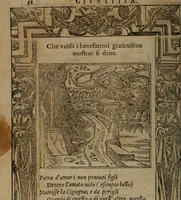 Picture 50 of 302 from Diverse imprese accomodate a diverse moralità, co versi che i loro significati dichiarano insieme con molte altre mella lingua italiana non piu tradotte (1576), leaf 35