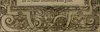 An illustration from Diverse imprese accomodate a diverse moralità, co versi che i loro significati dichiarano insieme con molte altre mella lingua italiana non piu tradotte (1576)