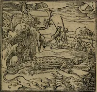 An illustration from Diverse imprese accomodate a diverse moralità, co versi che i loro significati dichiarano insieme con molte altre mella lingua italiana non piu tradotte (1576)