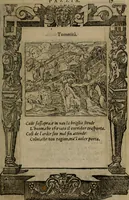 An illustration from Diverse imprese accomodate a diverse moralità, co versi che i loro significati dichiarano insieme con molte altre mella lingua italiana non piu tradotte (1576)