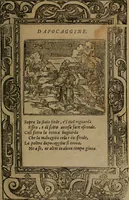 An illustration from Diverse imprese accomodate a diverse moralità, co versi che i loro significati dichiarano insieme con molte altre mella lingua italiana non piu tradotte (1576)