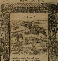 An illustration from Diverse imprese accomodate a diverse moralità, co versi che i loro significati dichiarano insieme con molte altre mella lingua italiana non piu tradotte (1576)